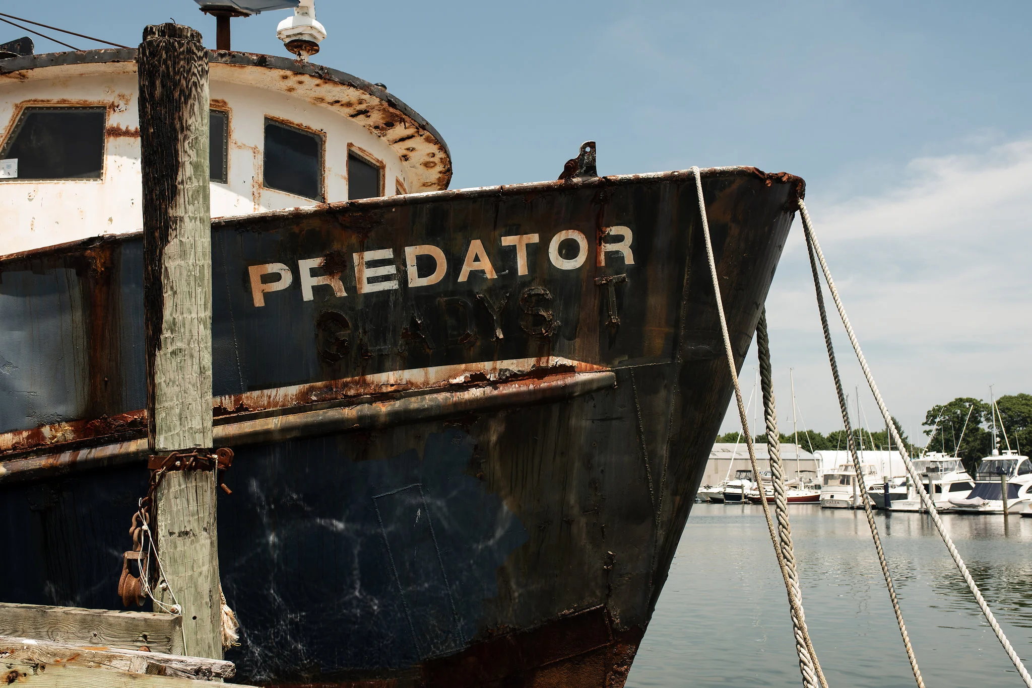 Davidbenthalphotography(8of11).jpg