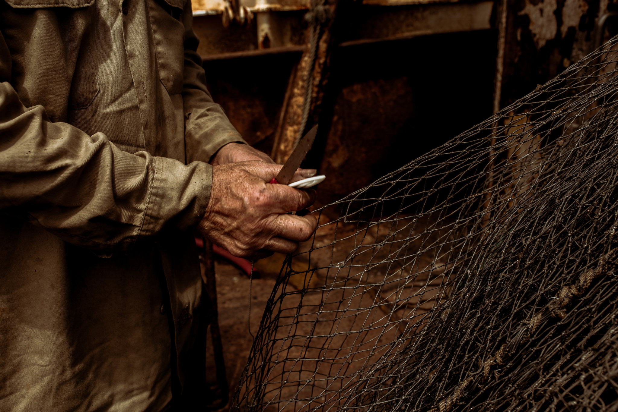 David_Benthal_Photography(5of20).jpg