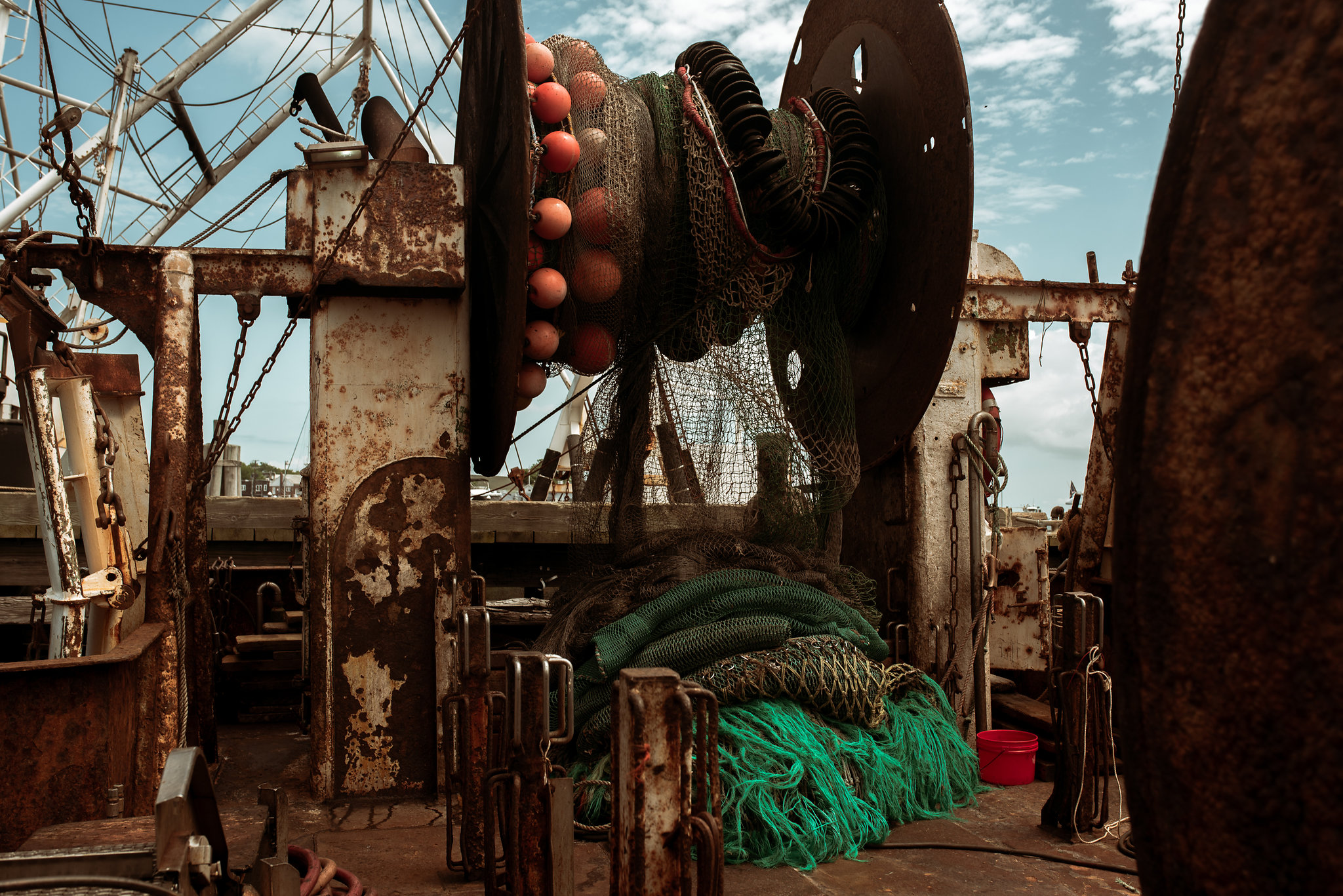 David_Benthal_Photography(3of20).jpg