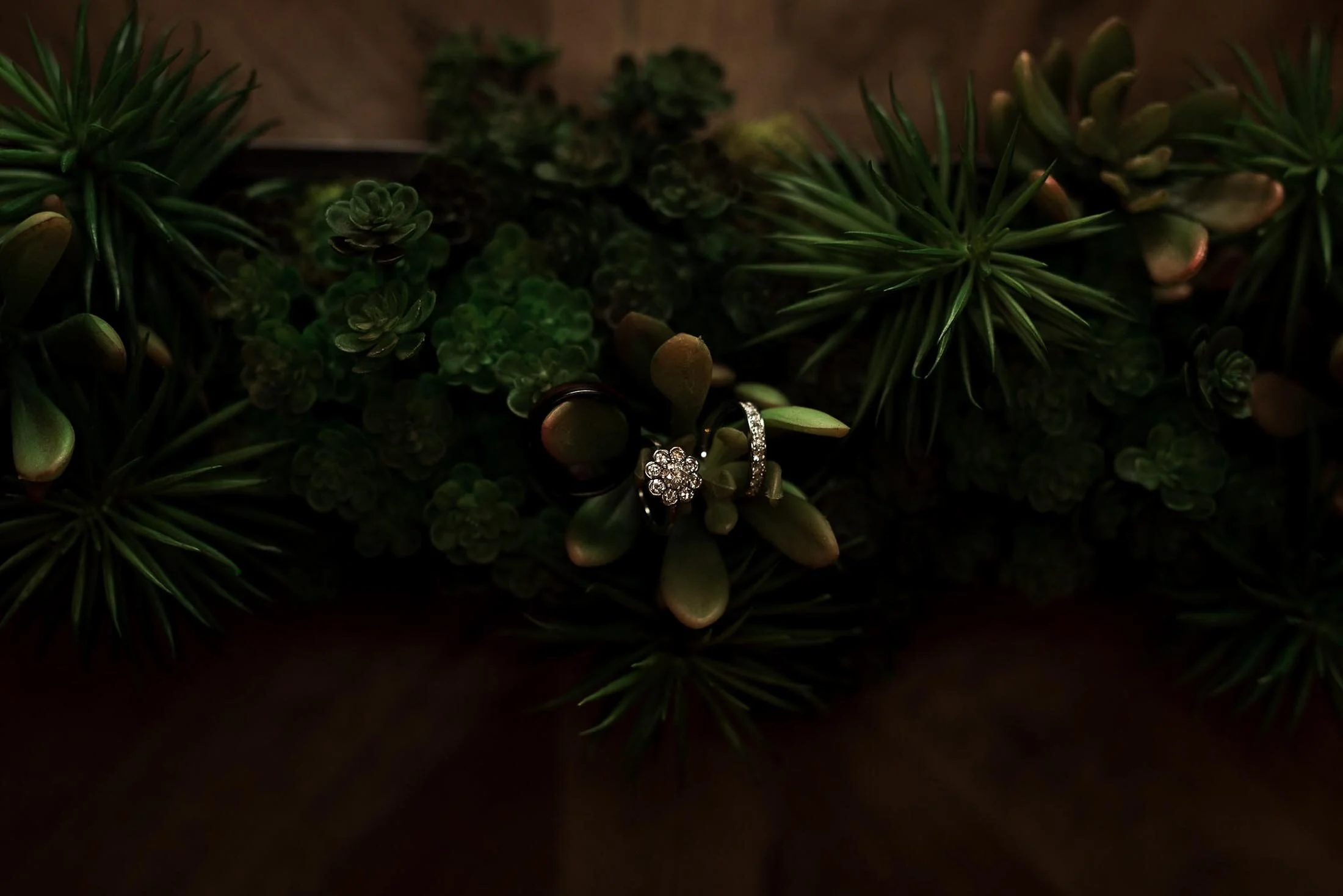 David_Benthal_Photography_Greenport_North_Fork_Long_Island_East End_Weddings_Hamptons-41.jpg