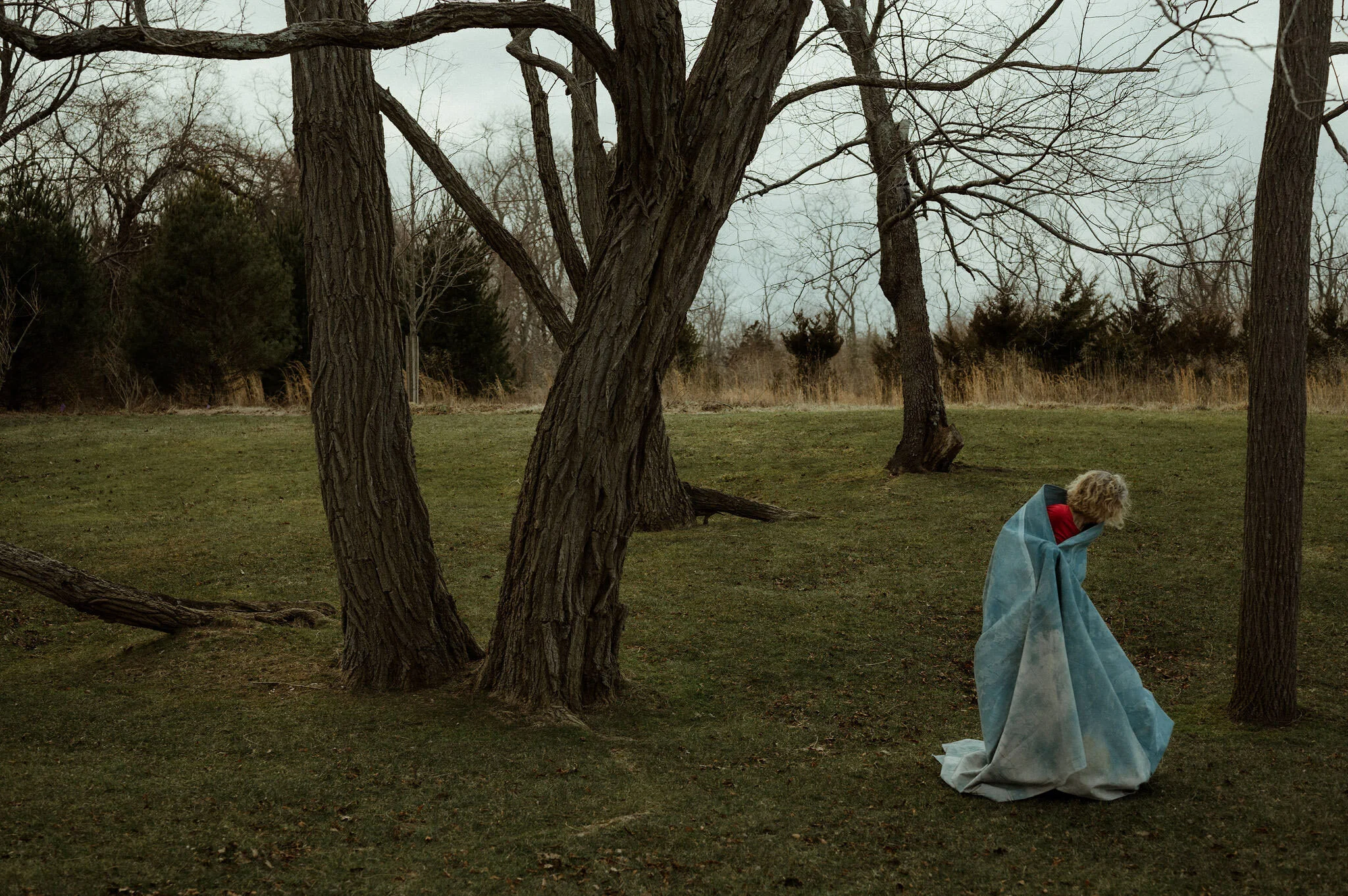 David_Benthal_Photography (8 of 18).jpg