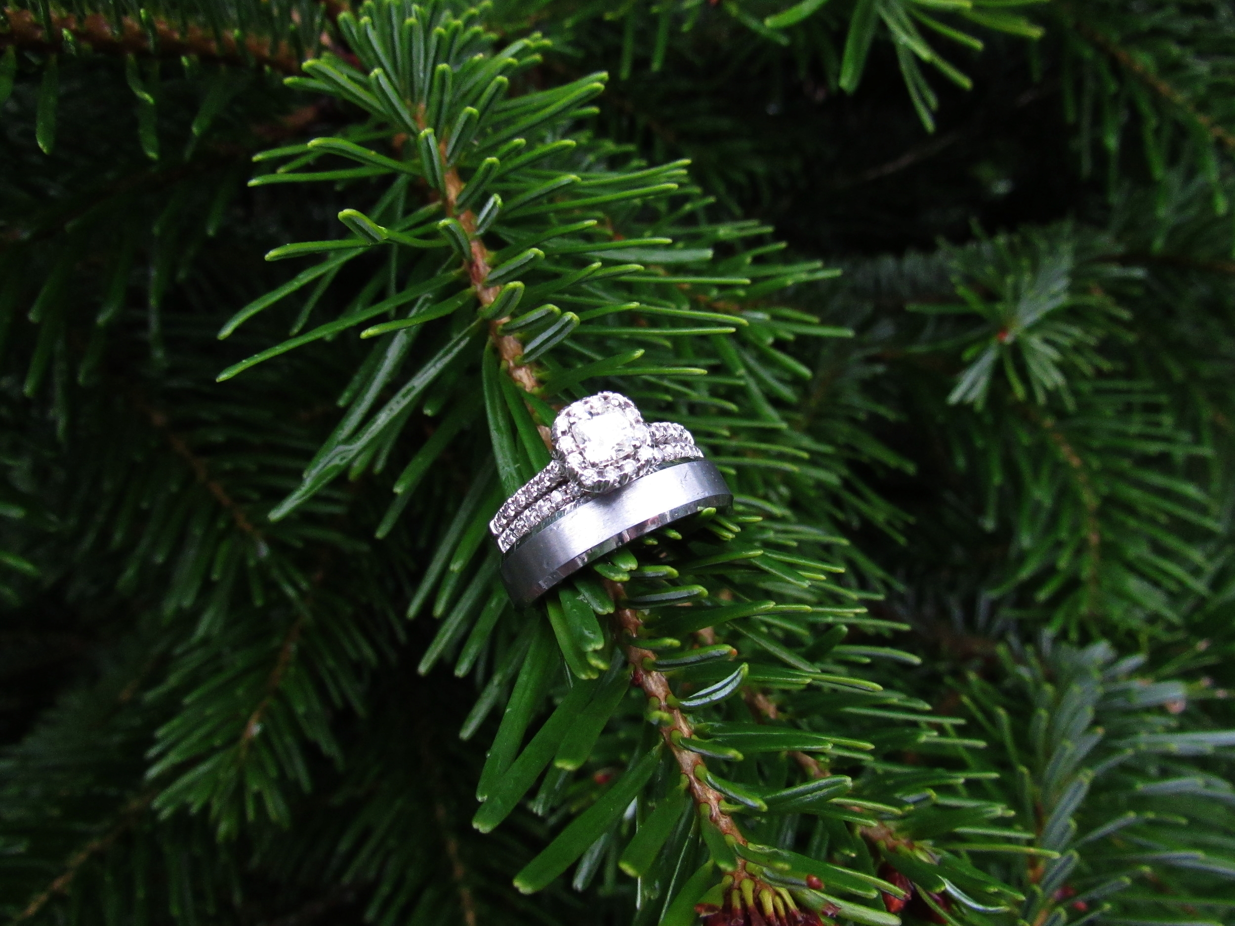 Our wedding rings on our Christmas tree.