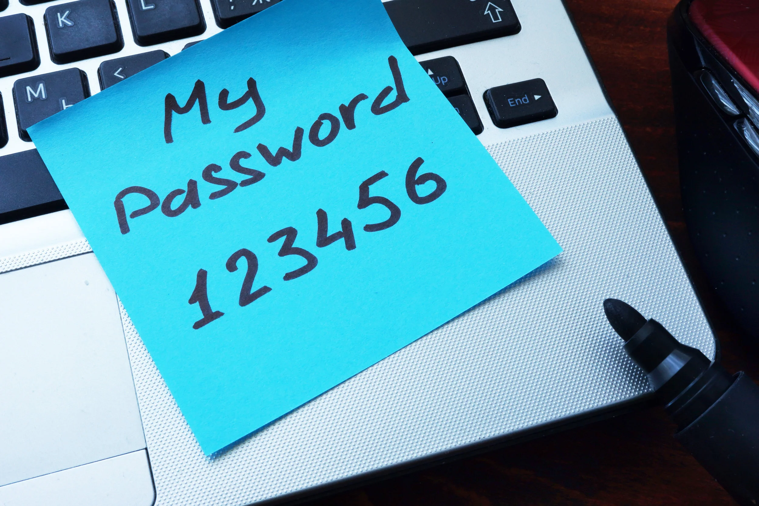 Managing Hundreds of Passwords for Hundreds of Users