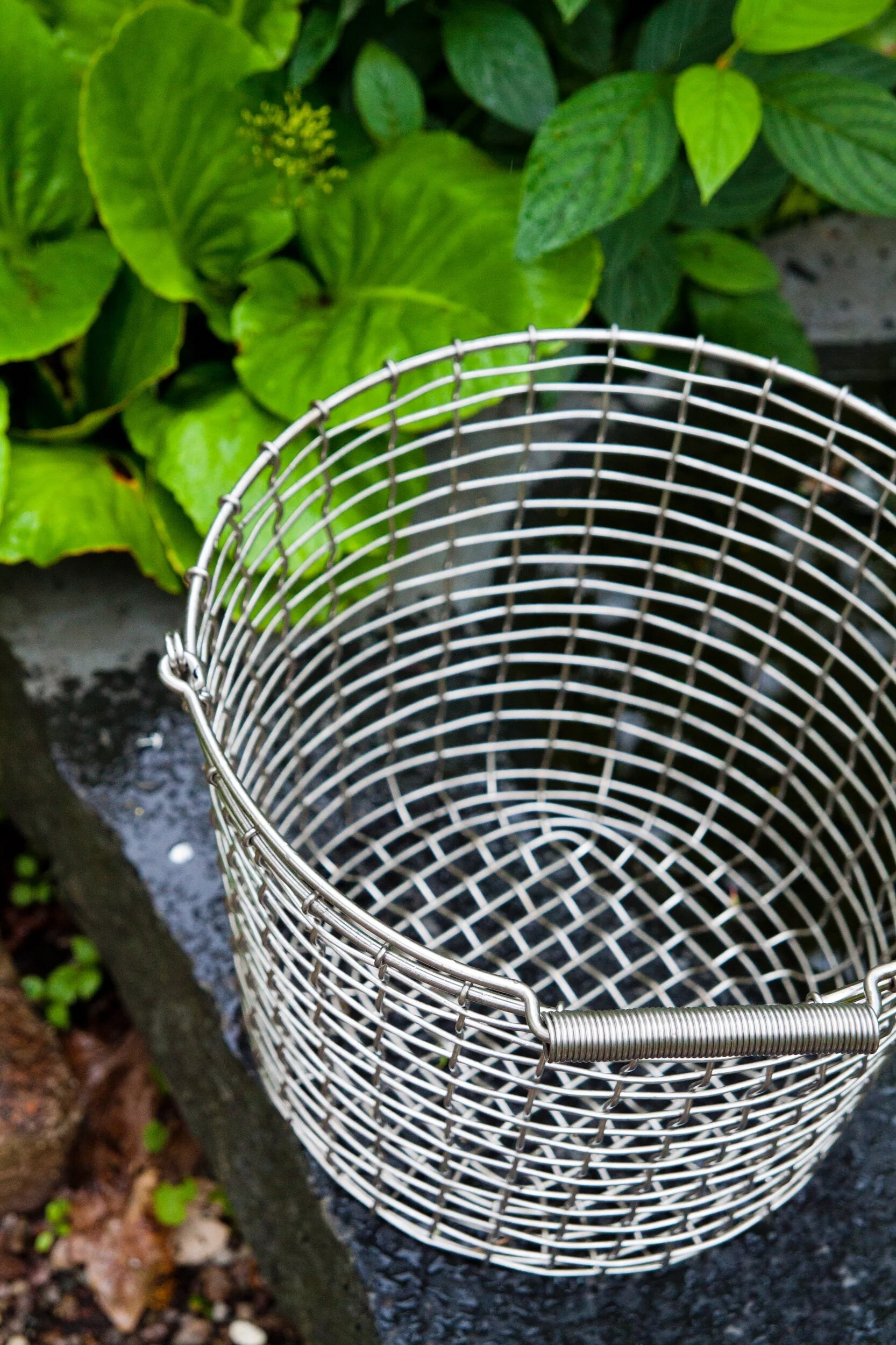 422E68D5-A810-43F3-9112-3EC340D878B4