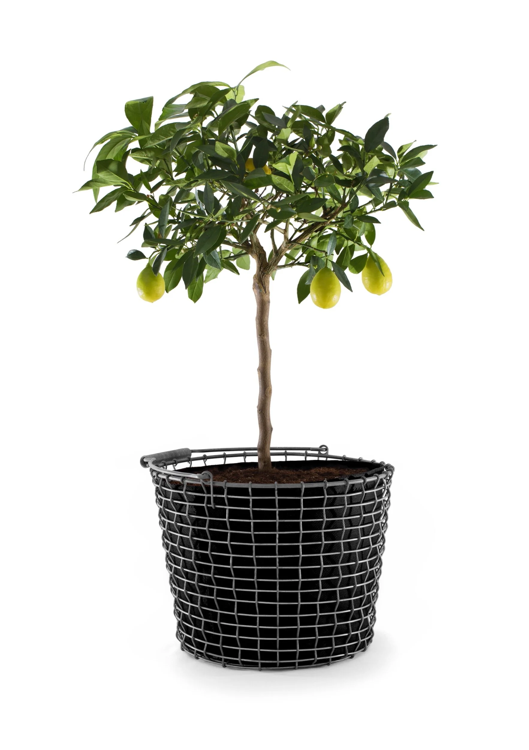 32DF748B-91F7-4BD7-9FC0-6660BCD9C3F4