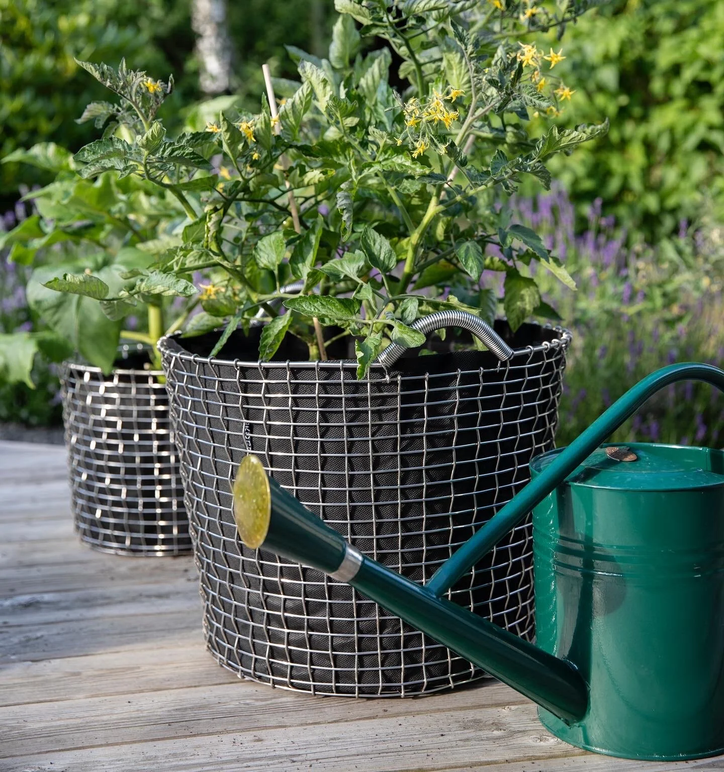 D3653947-2863-4FA0-90B8-7654B1B829AC