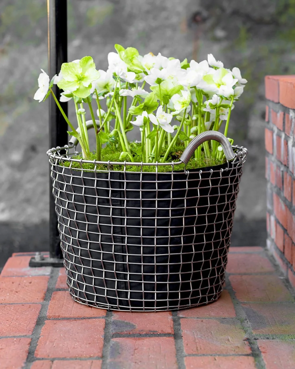 62782CFC-8EF6-43A5-AB9F-534CFBD65793