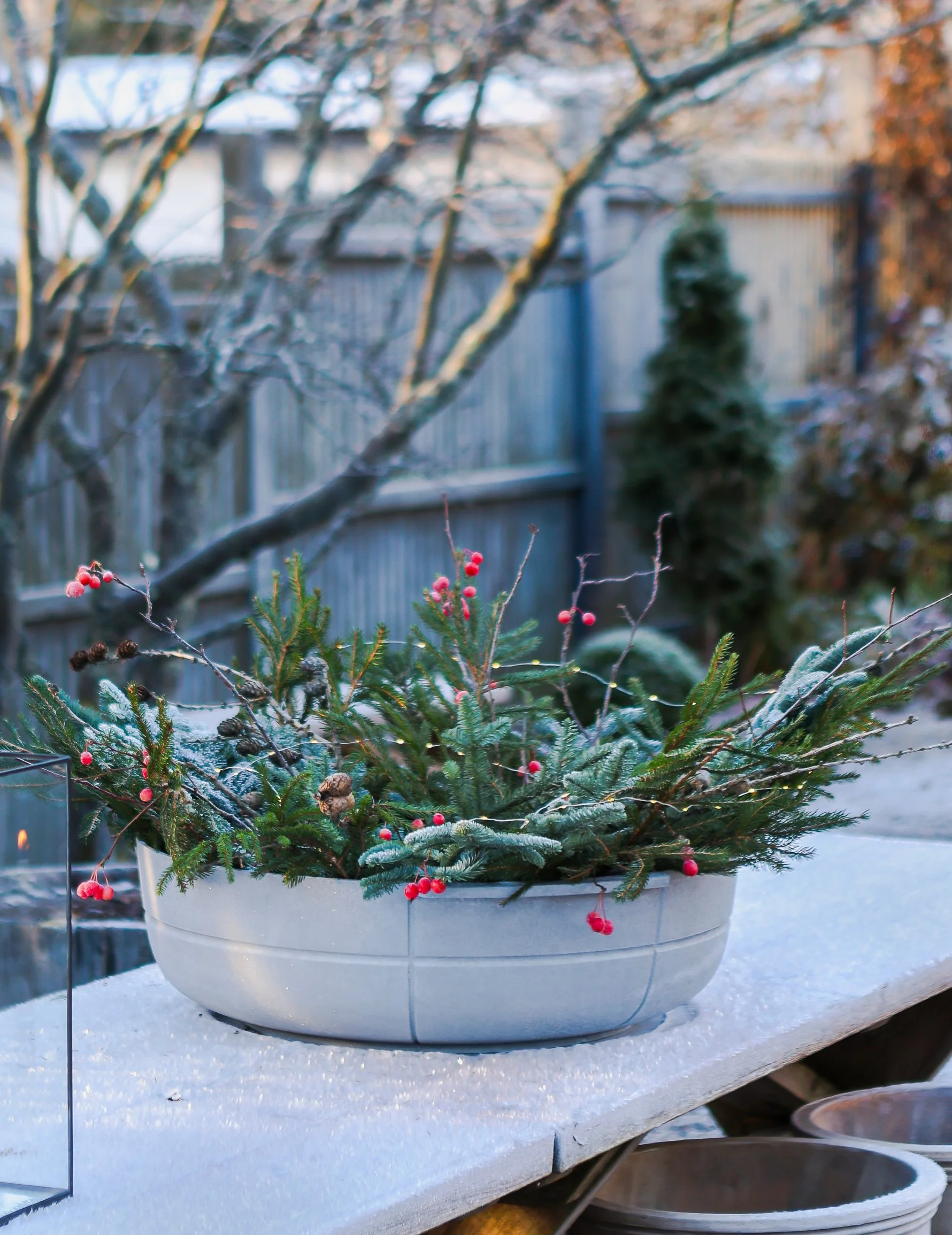 LINEA no 3 frost 16 new.jpg