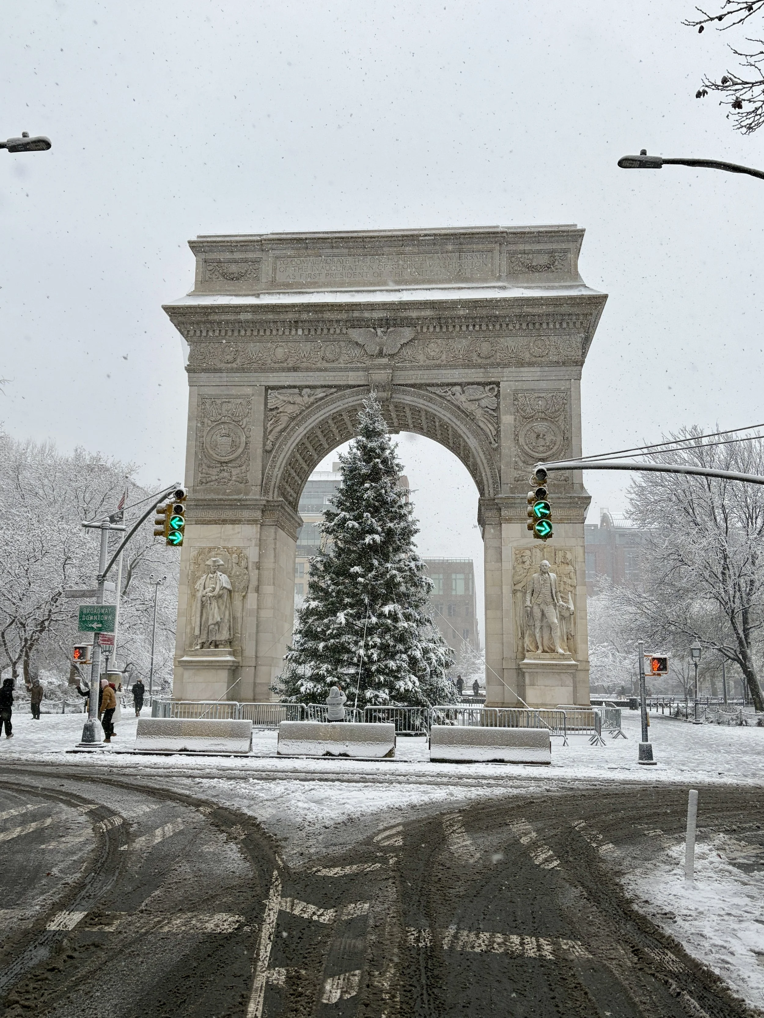 The 2025 Washington Square Park Holiday Tree