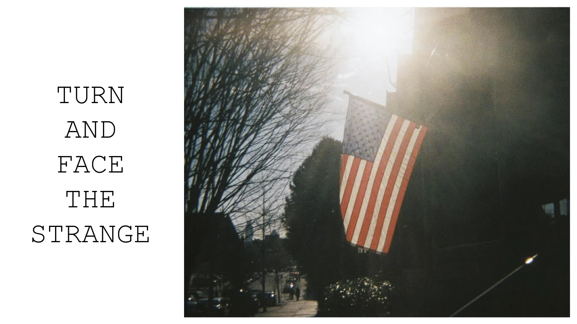 Cover of Turn and Face the Strange
