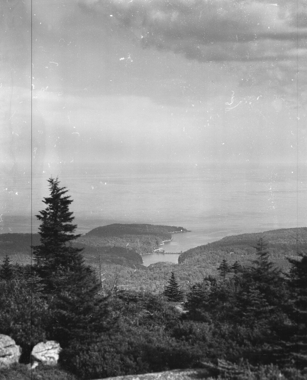 Pancro Maine026.jpg