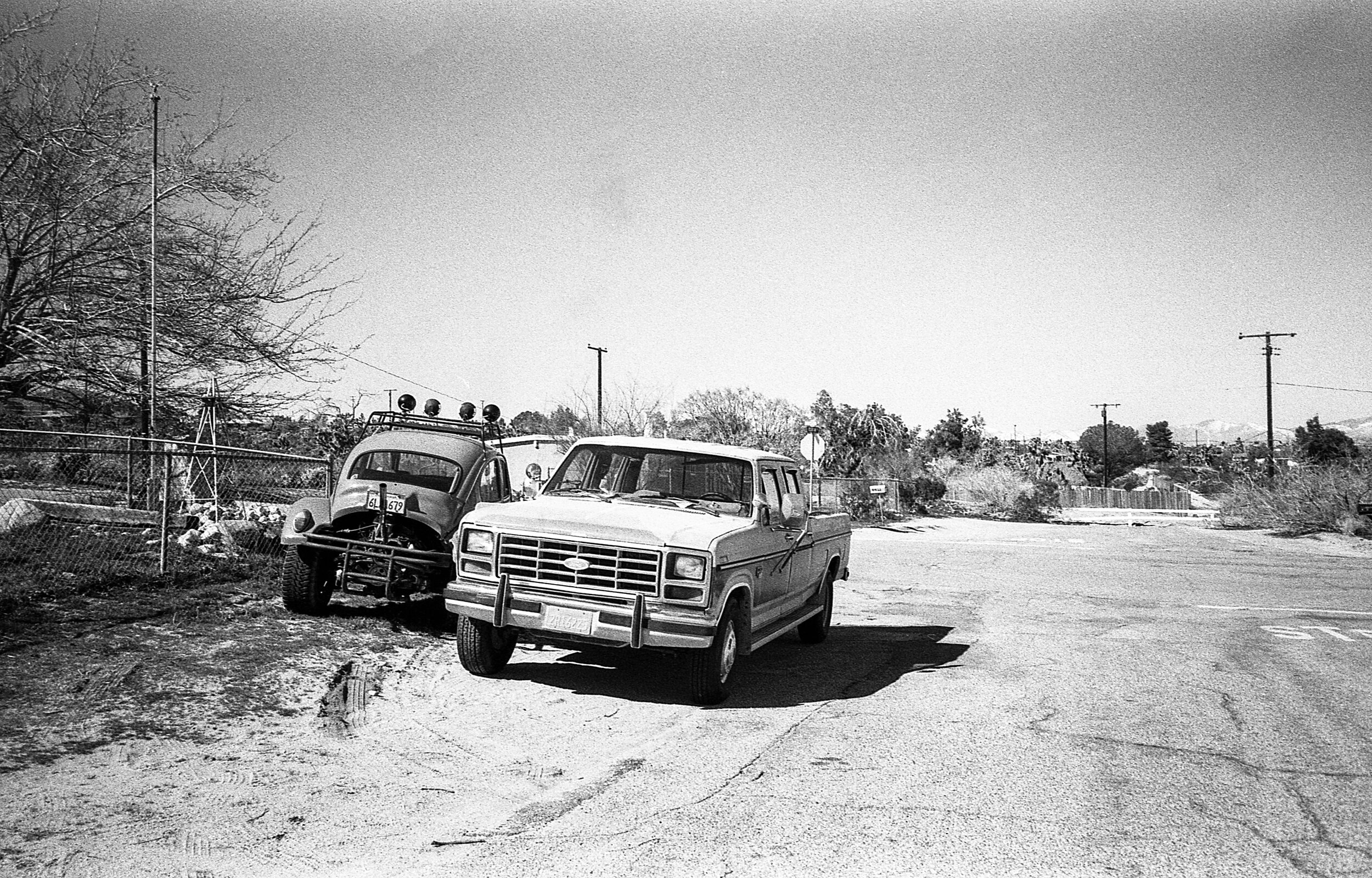 joshua tree (4 of 49).jpg