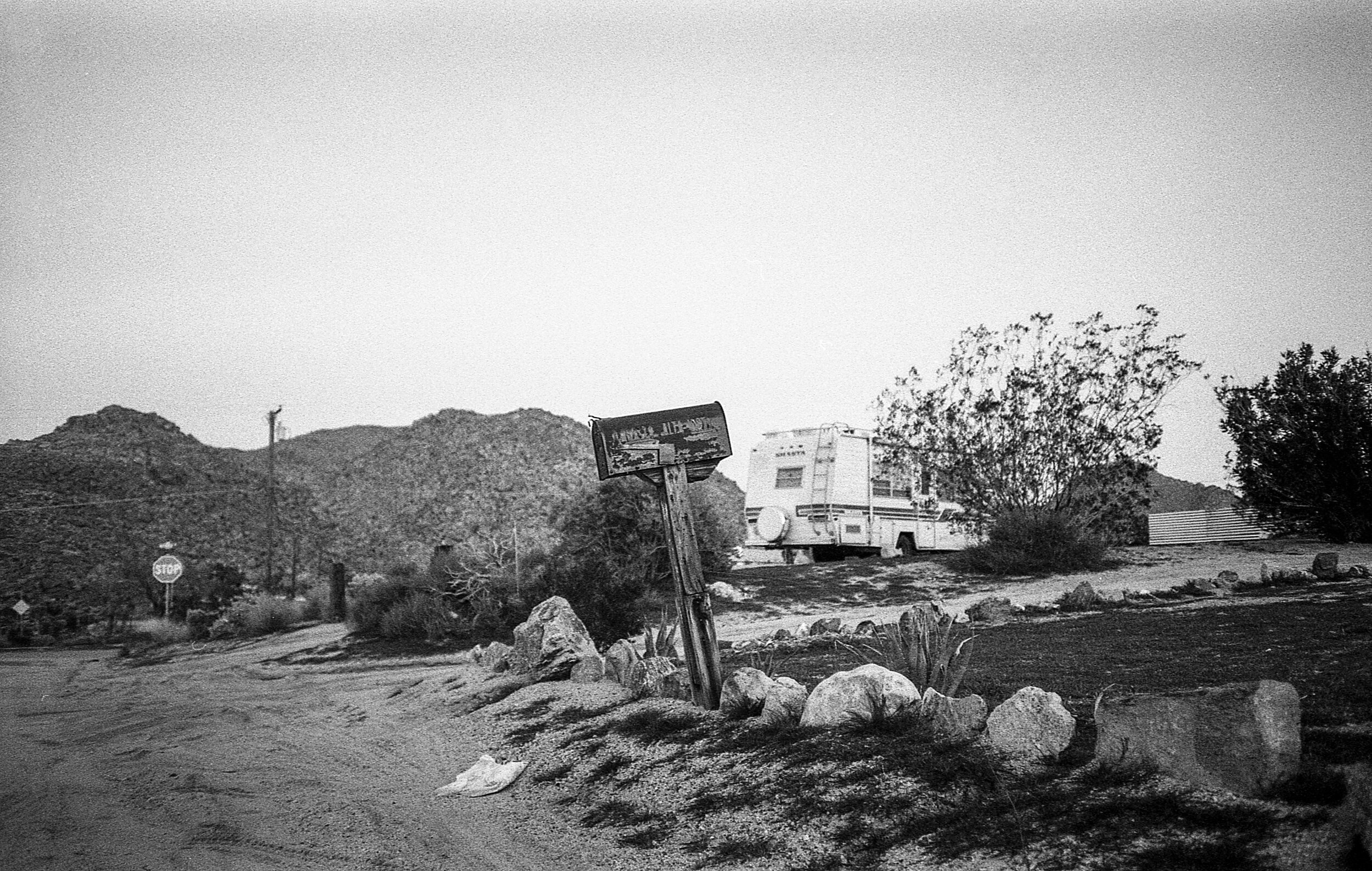 joshua tree (41 of 49).jpg