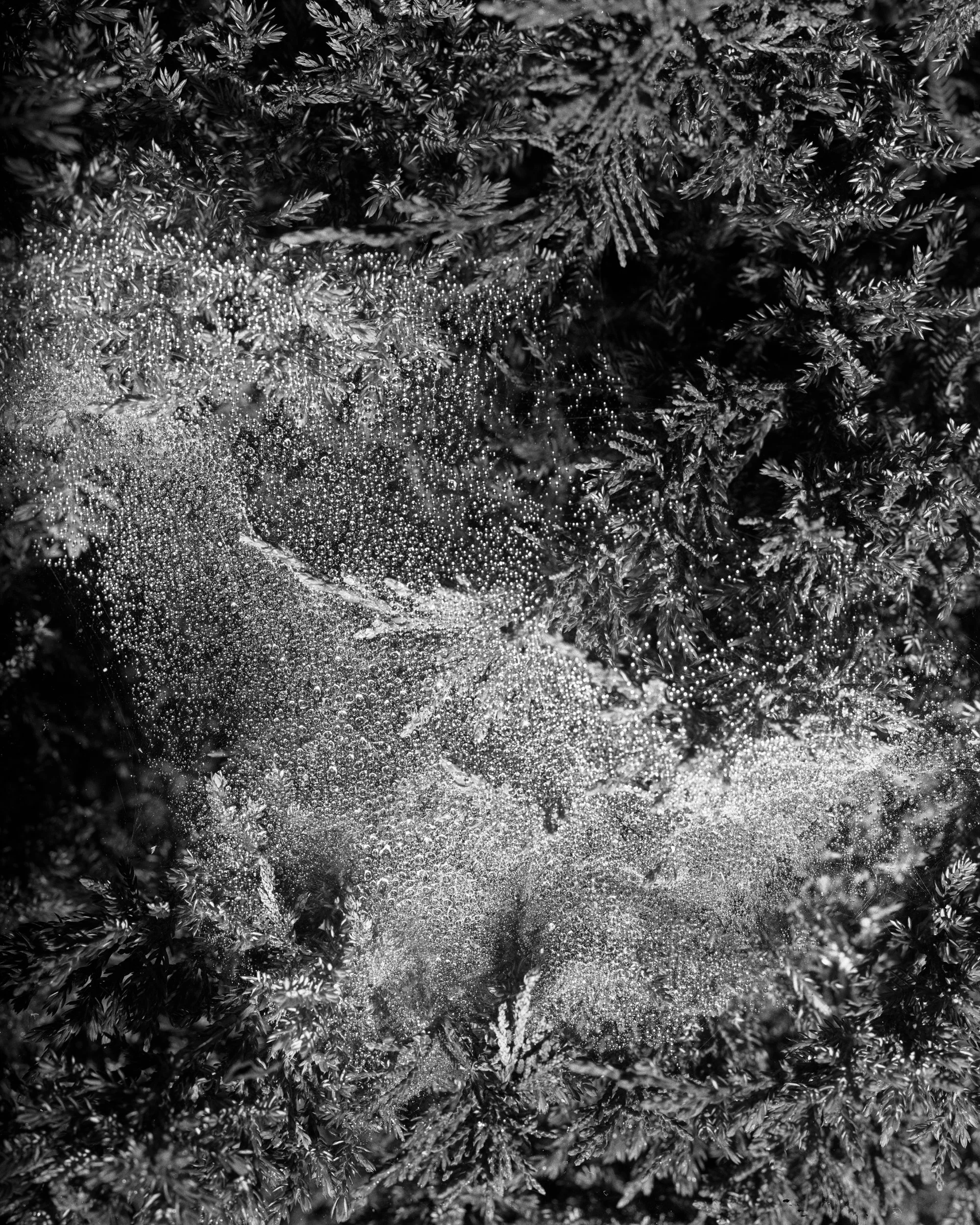 09_Drowning_DG15_480.jpg