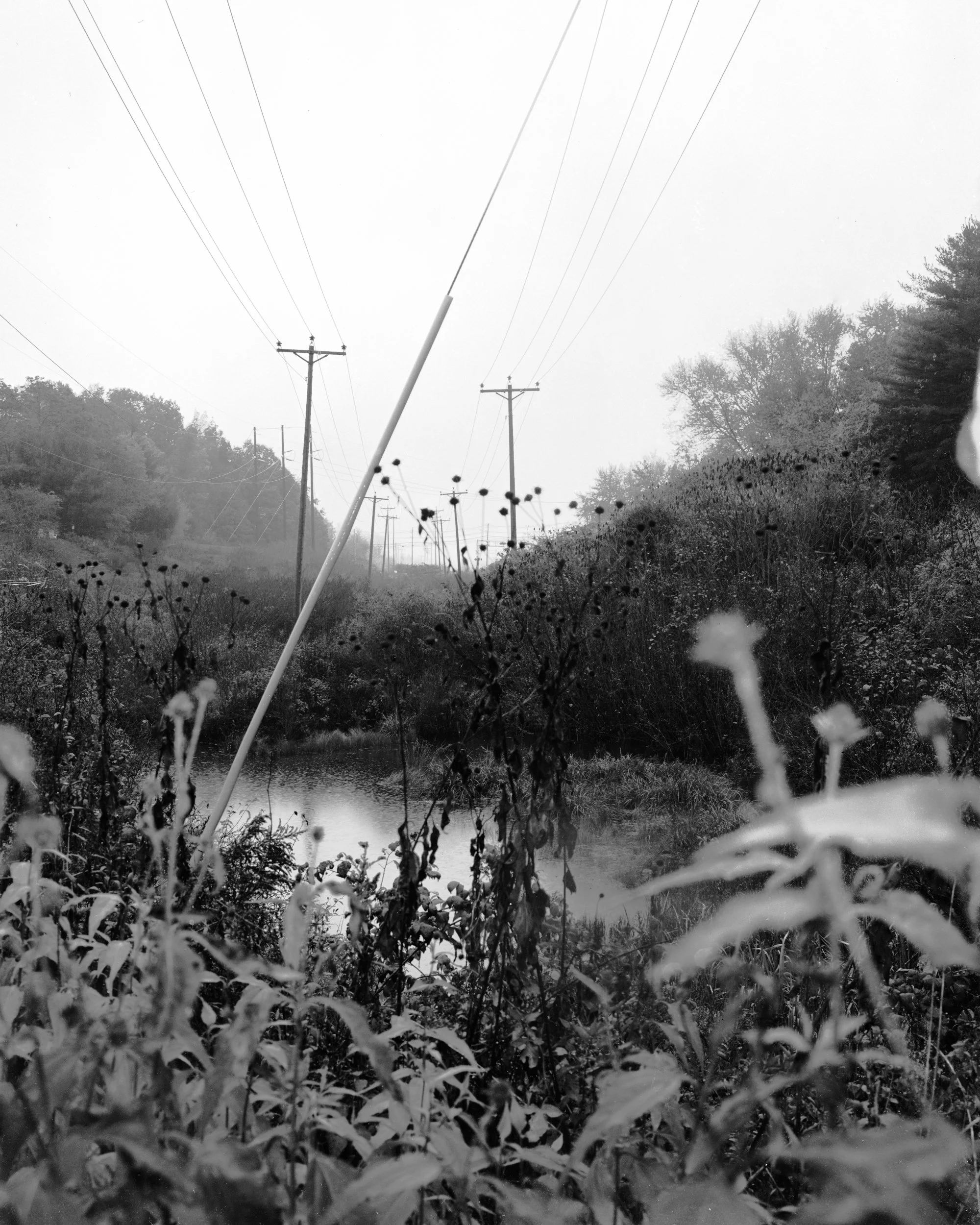 36_Through_DG15_480.jpg