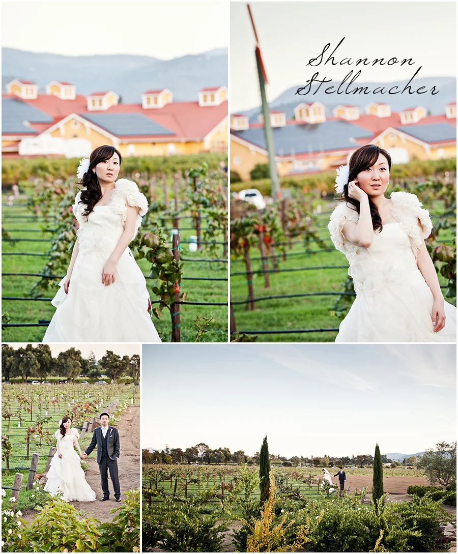 V-sattui-vineyard-wedding-photos.jpg