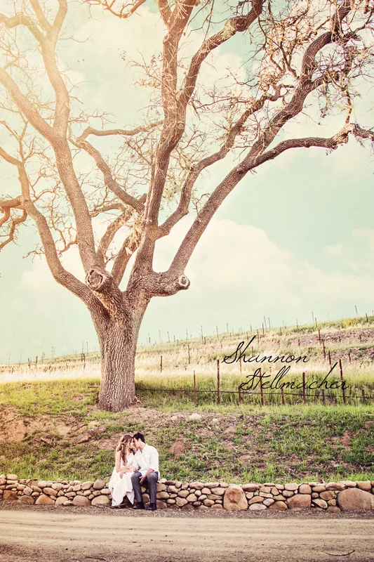 sunstone-winery-santa-ynez-web.jpg