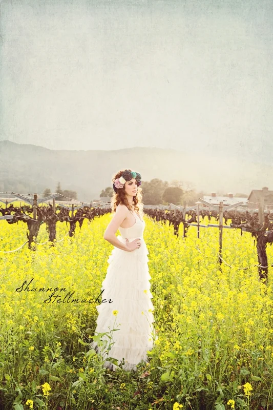 Mustard Fields 1