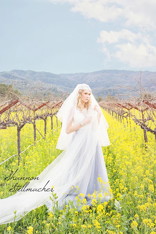 Mustard-Fields-Napa002-web.jpg