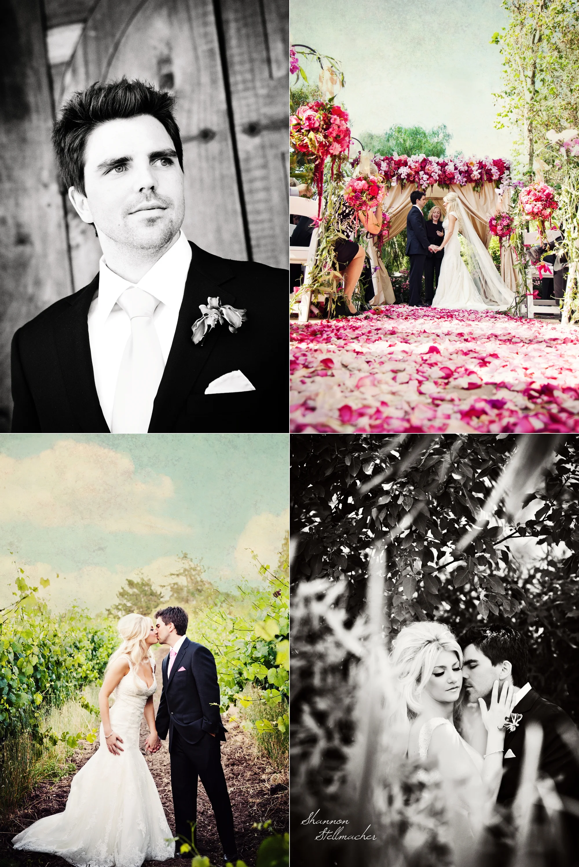 Cline Cellars Wedding Sonoma 3.jpg