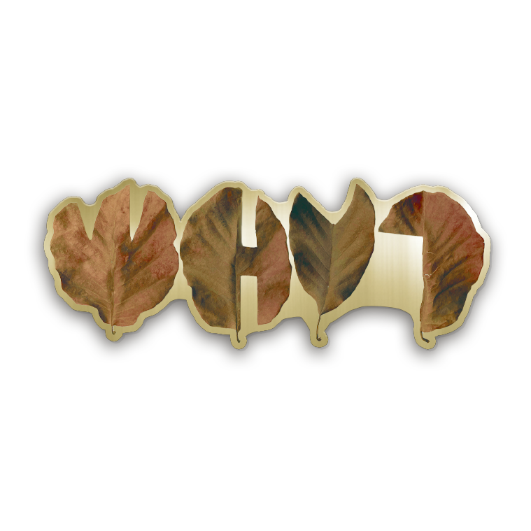 leaves-front.png