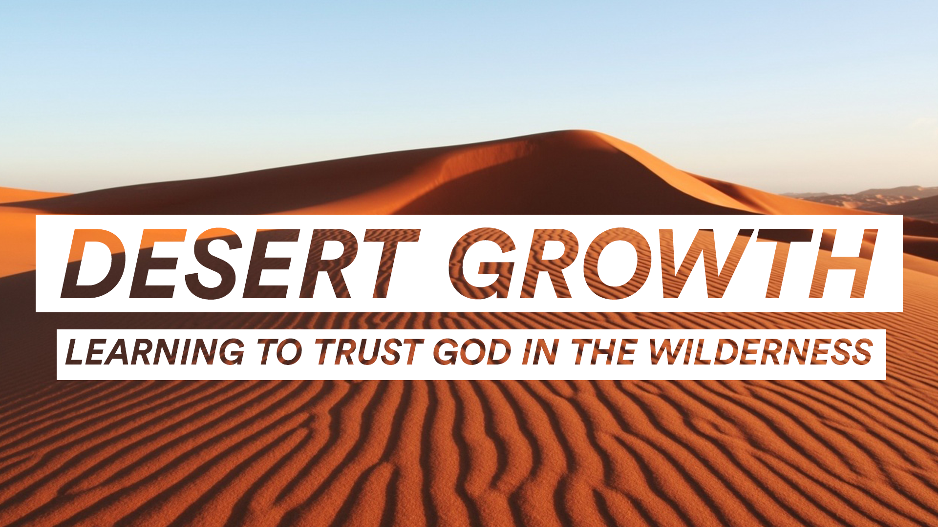 Desert Growth.png