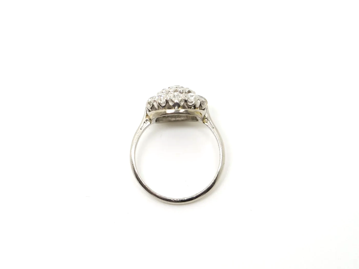 P1271605.png