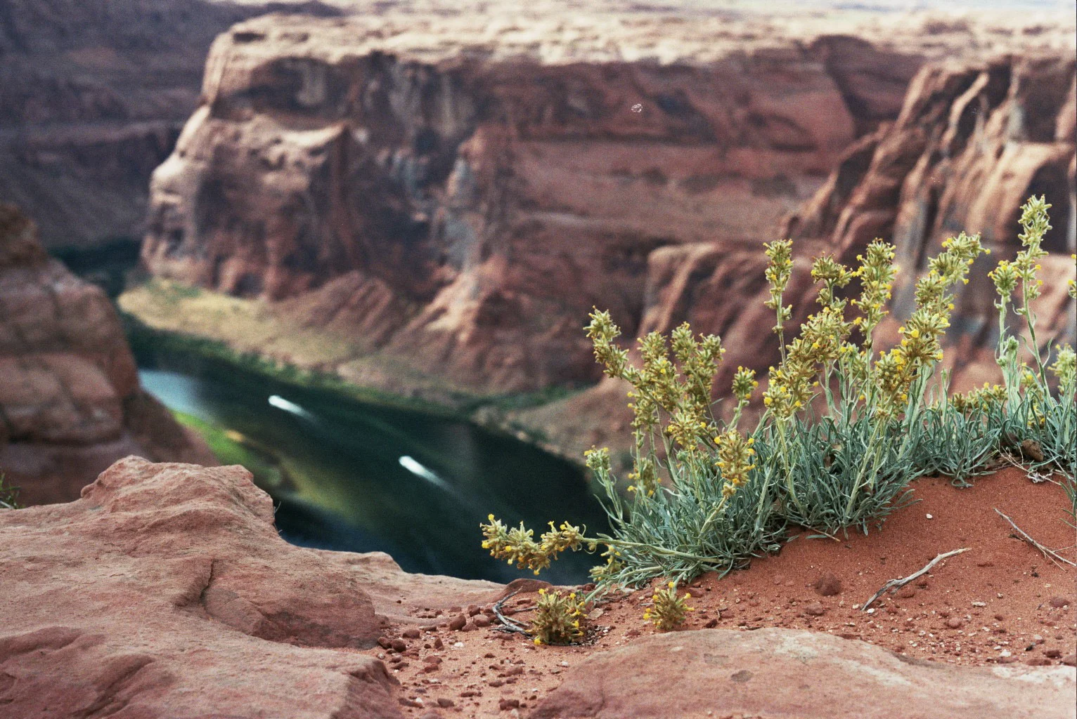 _20_0140.jpg