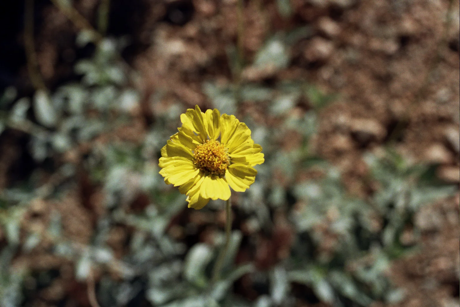 27A_0100.jpg
