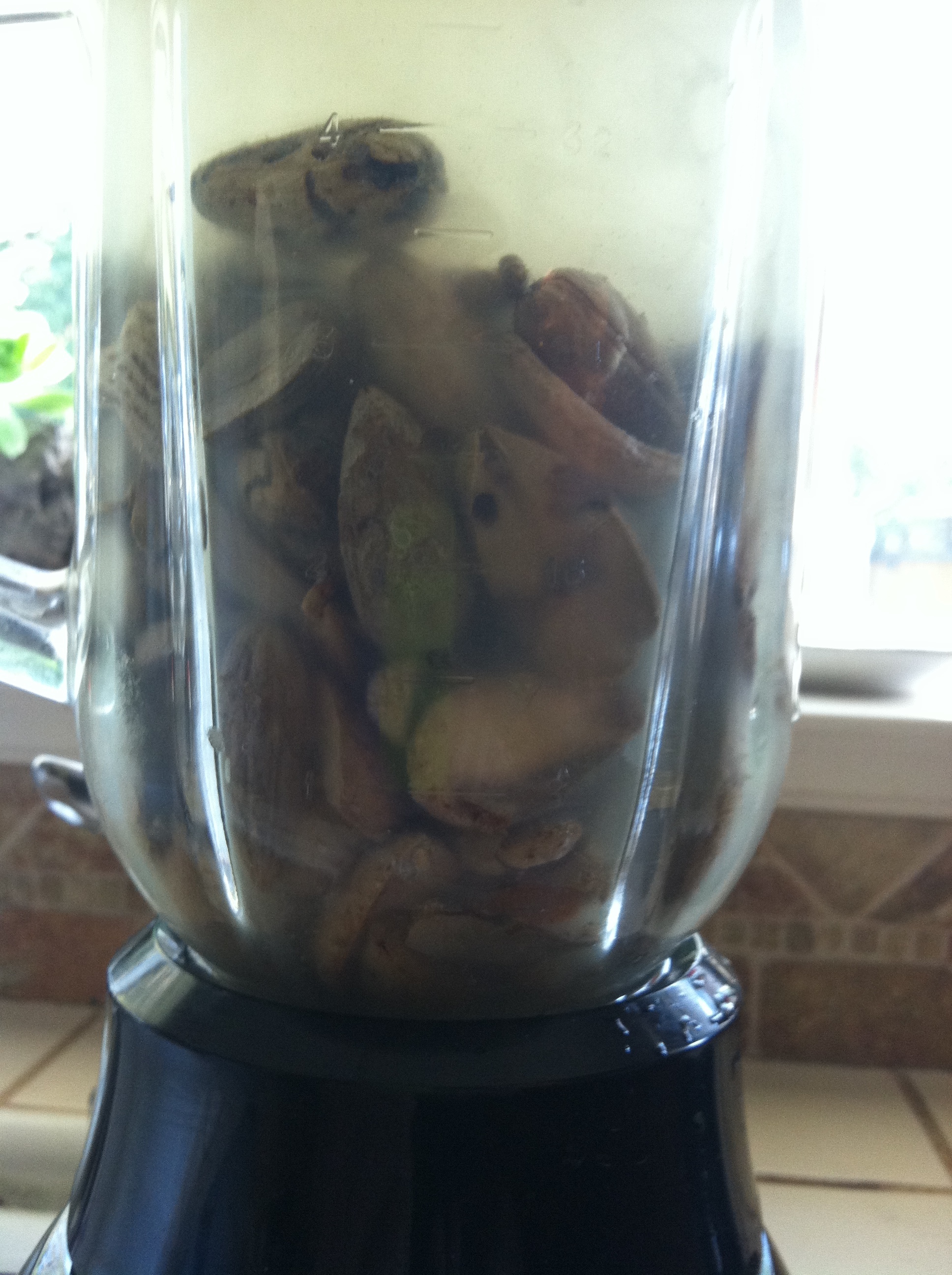 Put 2 Cups of Leached Acorns to 6cups of Fresh Water and Blend.