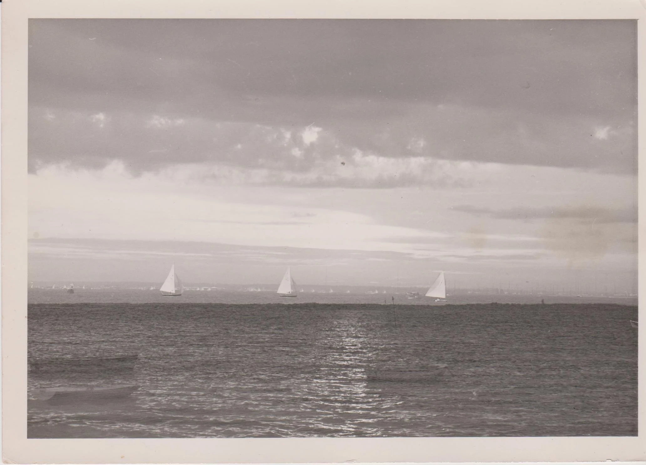 Sailboats by Daniel Walsh.jpeg