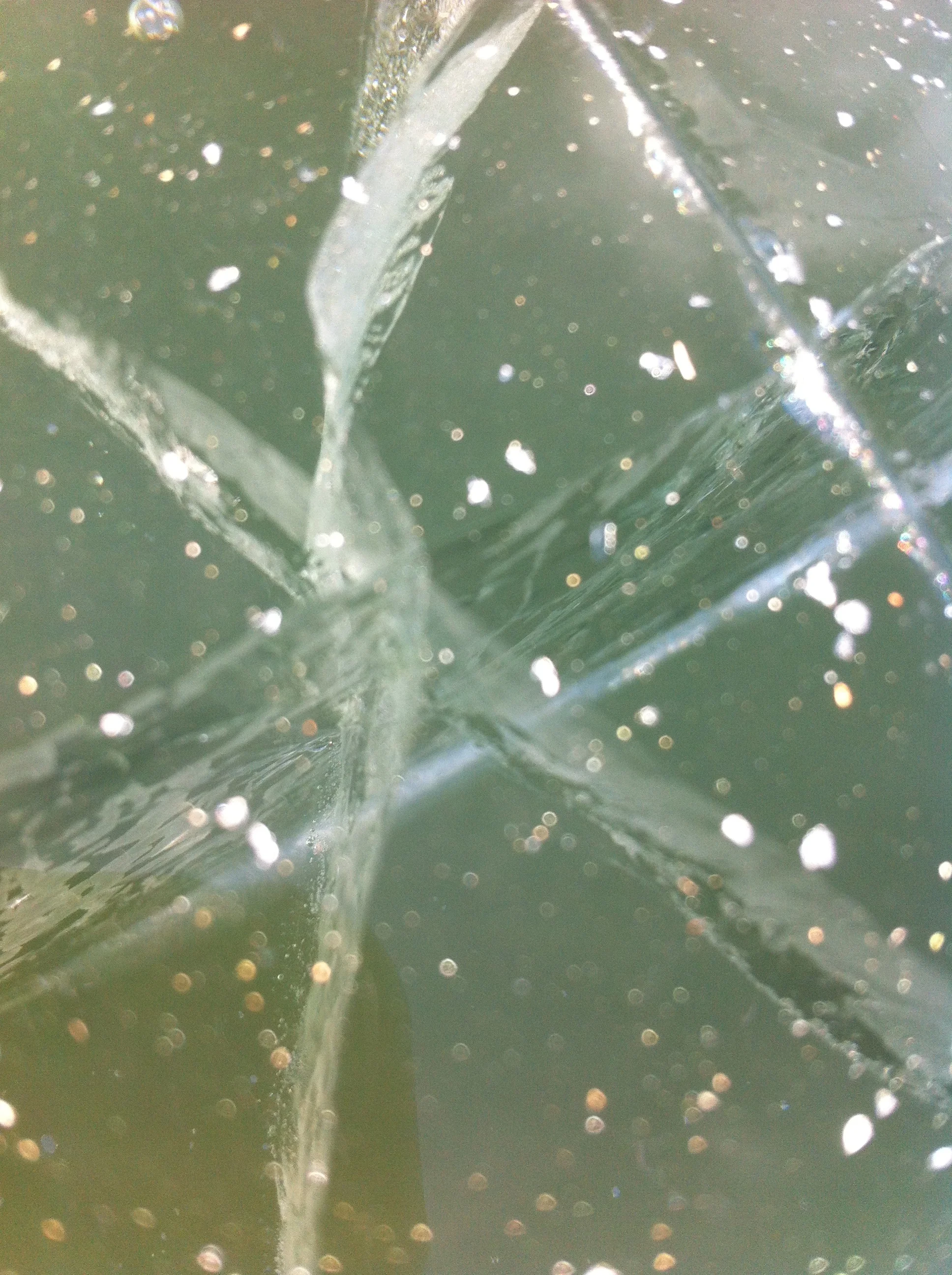 Pretty much everything