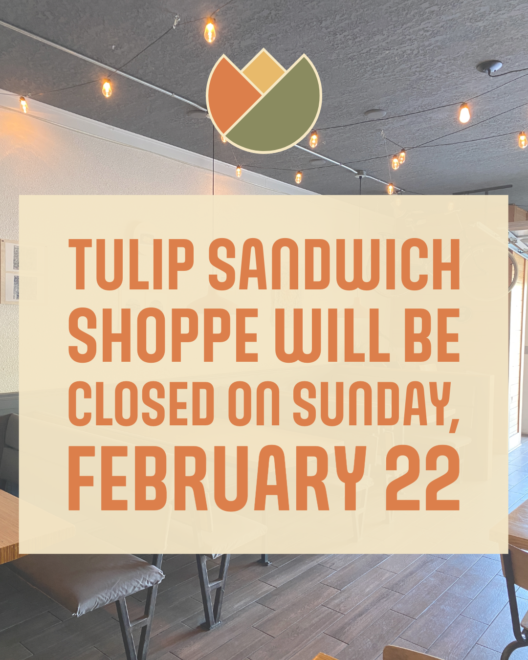 Tulip Closed