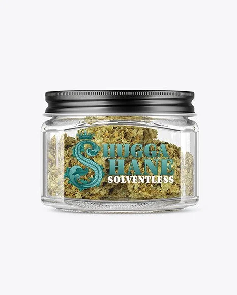shuggaShane_jar.jpg