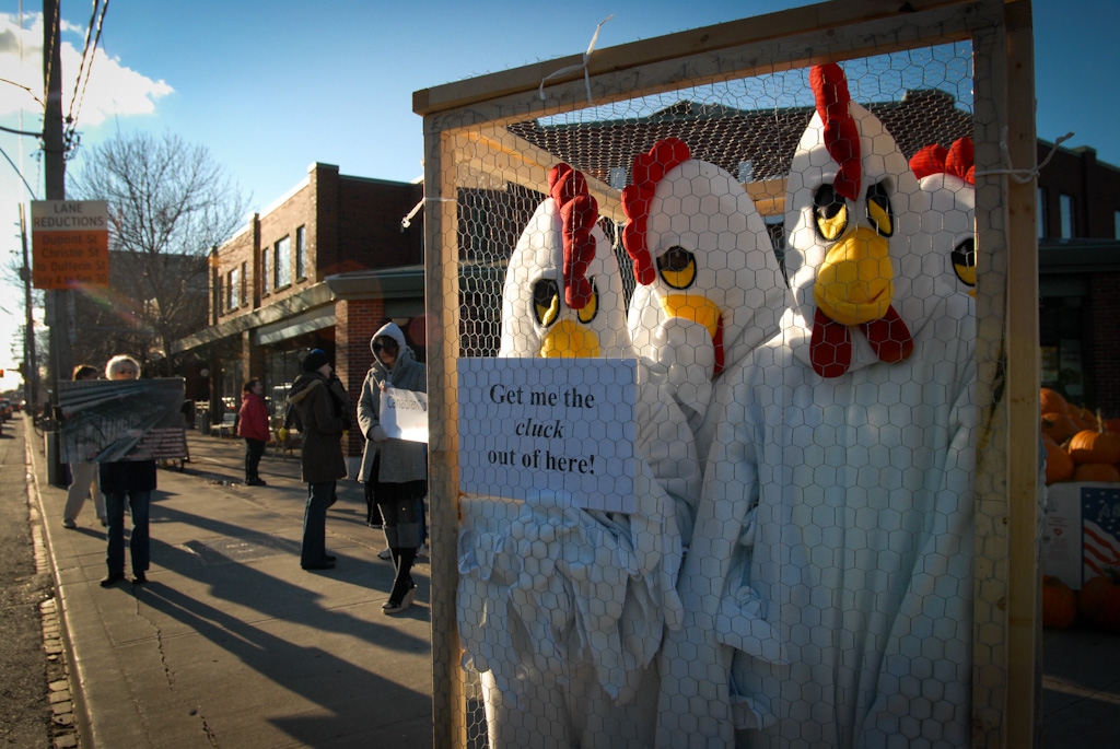 Photo copyright: Jo-Anne McArthur / We Animals