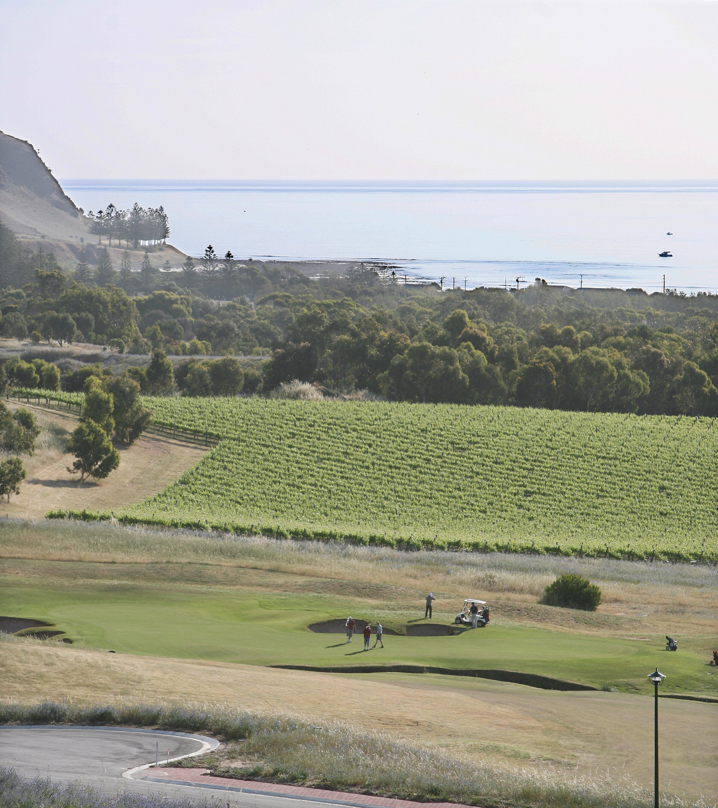 Links-Lady-Bay-Golf-Low-Res.jpg