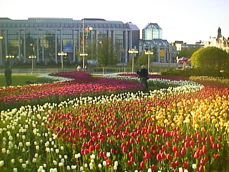 national-gallery-of-canada.jpg