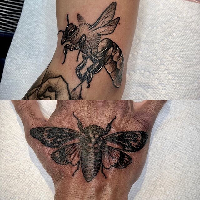 Couple bugs by @camtattoos ...
..
#blackworktattoo #insecttattoo #beetattoo #cicadatattoo #flagstafftattoos #downtownflagstaff #aztattooer #nau #spektraflux #tattoistartmagazine #the_inkmasters @auroraeffect #blxckink #btattooing #geometrychaos #blac