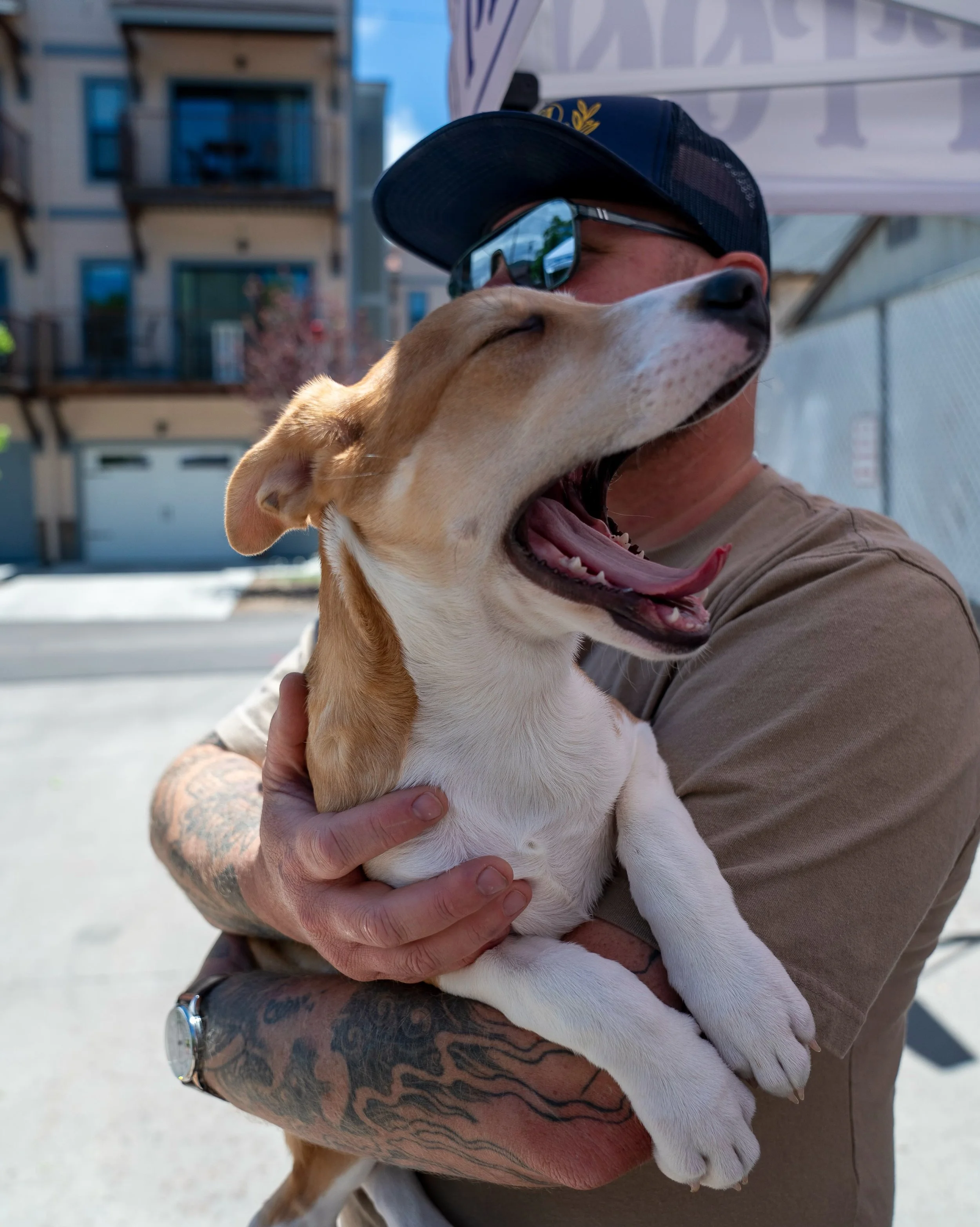 A few more moments from Sunday&rsquo;s adoption event with @highcountryhumane 🐾💙

📸: @inkxzoe 
&bull;
&bull;
#highcountryhumane #shelteranimals #mirrorgalleryflagstaff #flagstafftattooshops #adoptionevent