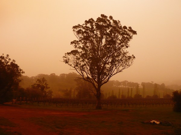 Dust storm in Winter