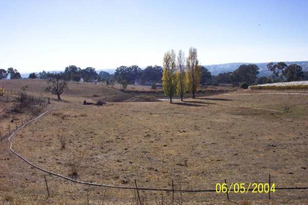 When drought grips the land