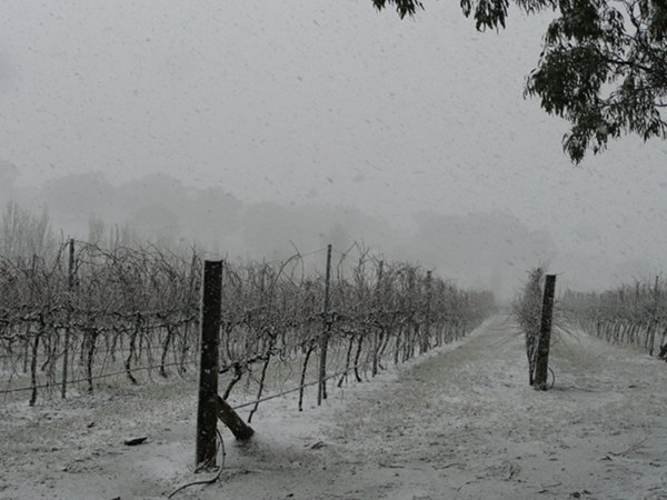 Late Winter snow stor