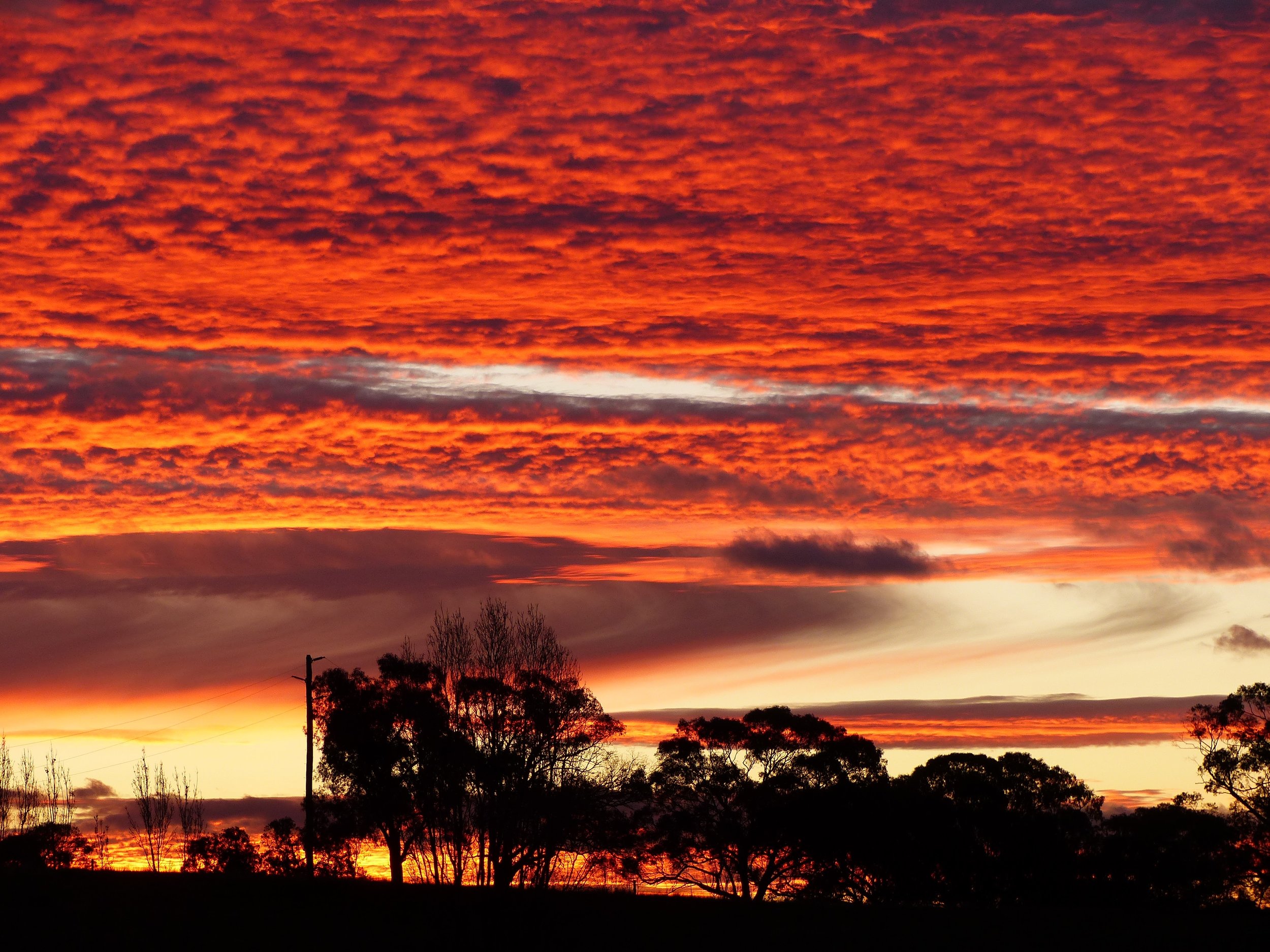 An Autumn Sunset