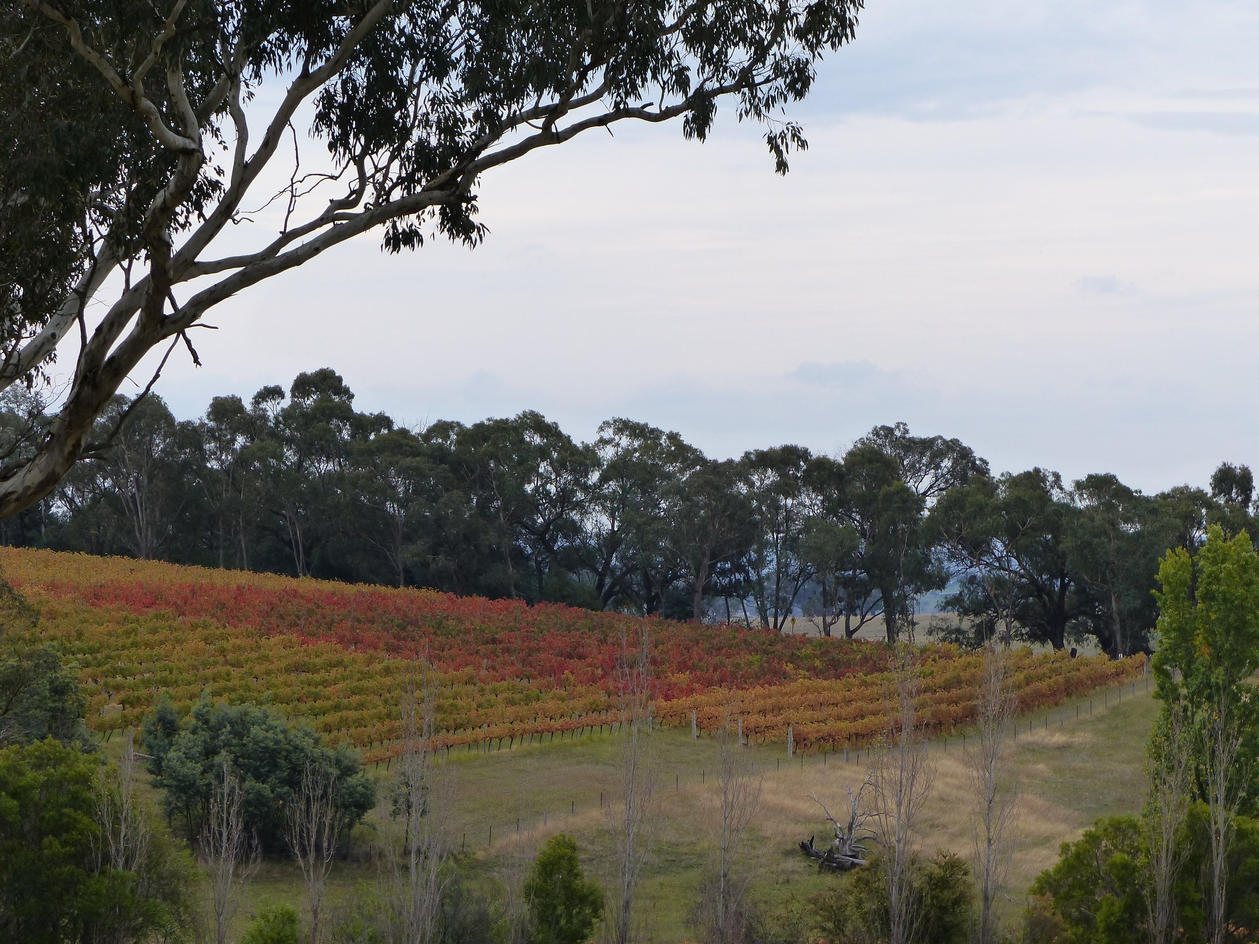 Blend Block Coming Into Autumn