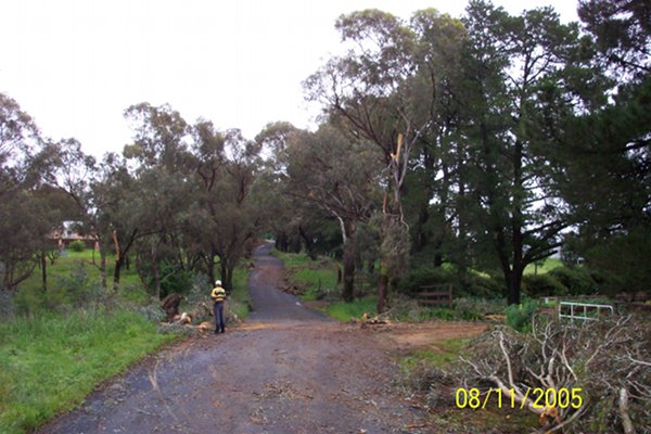 A Chainsaw is sometimes needed to visit Bloodwood