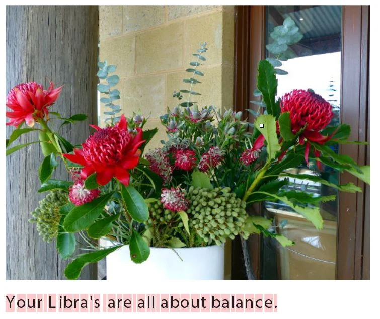 Bloodwood Libra Dinner Party