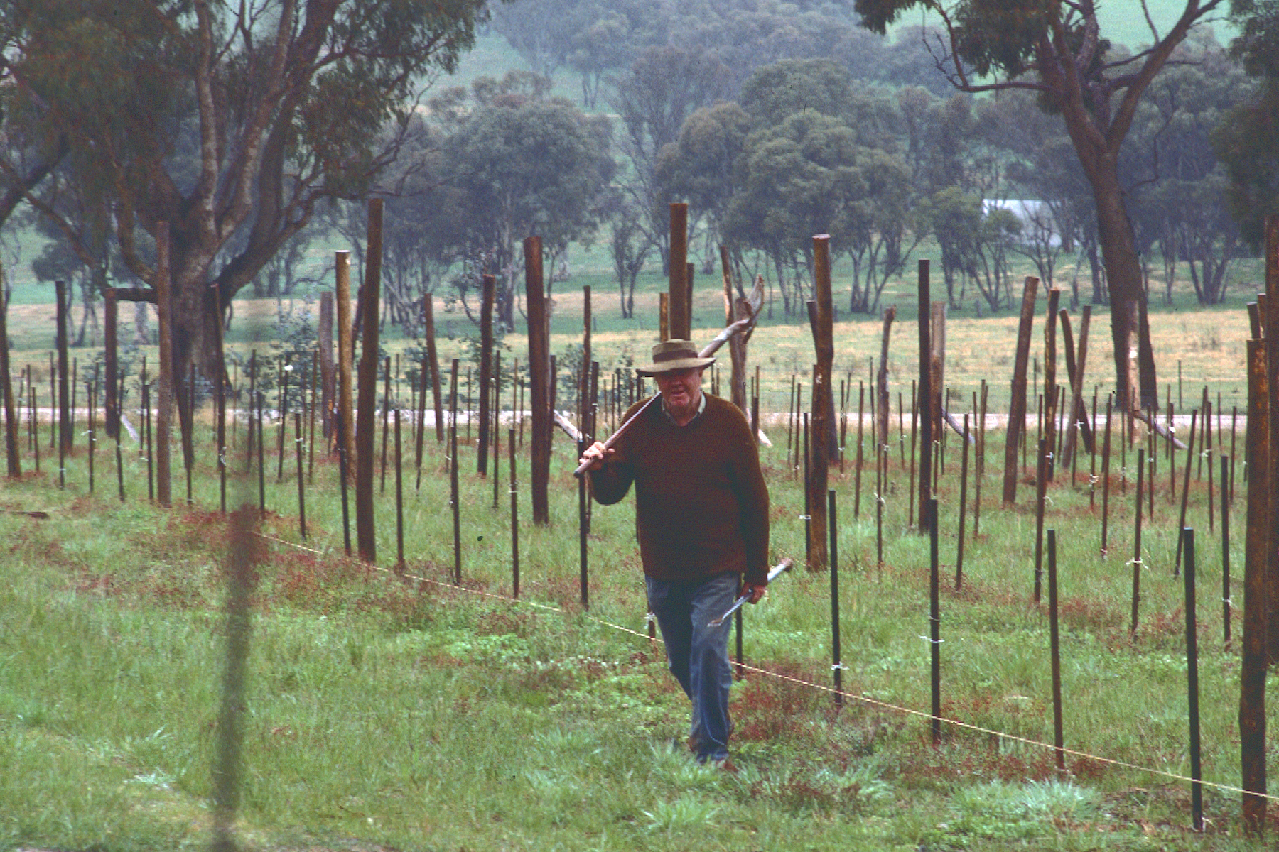 Clarrie Lending A Hand