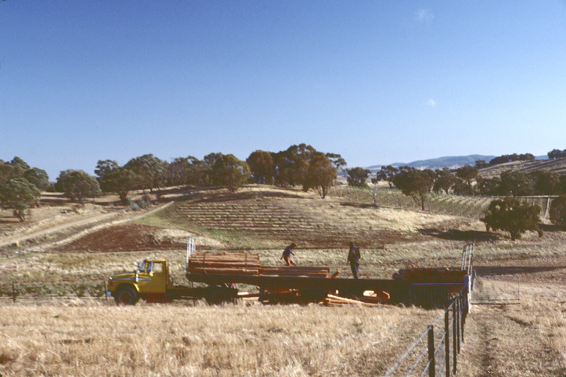 Posts For The Chardonnay Vineyard