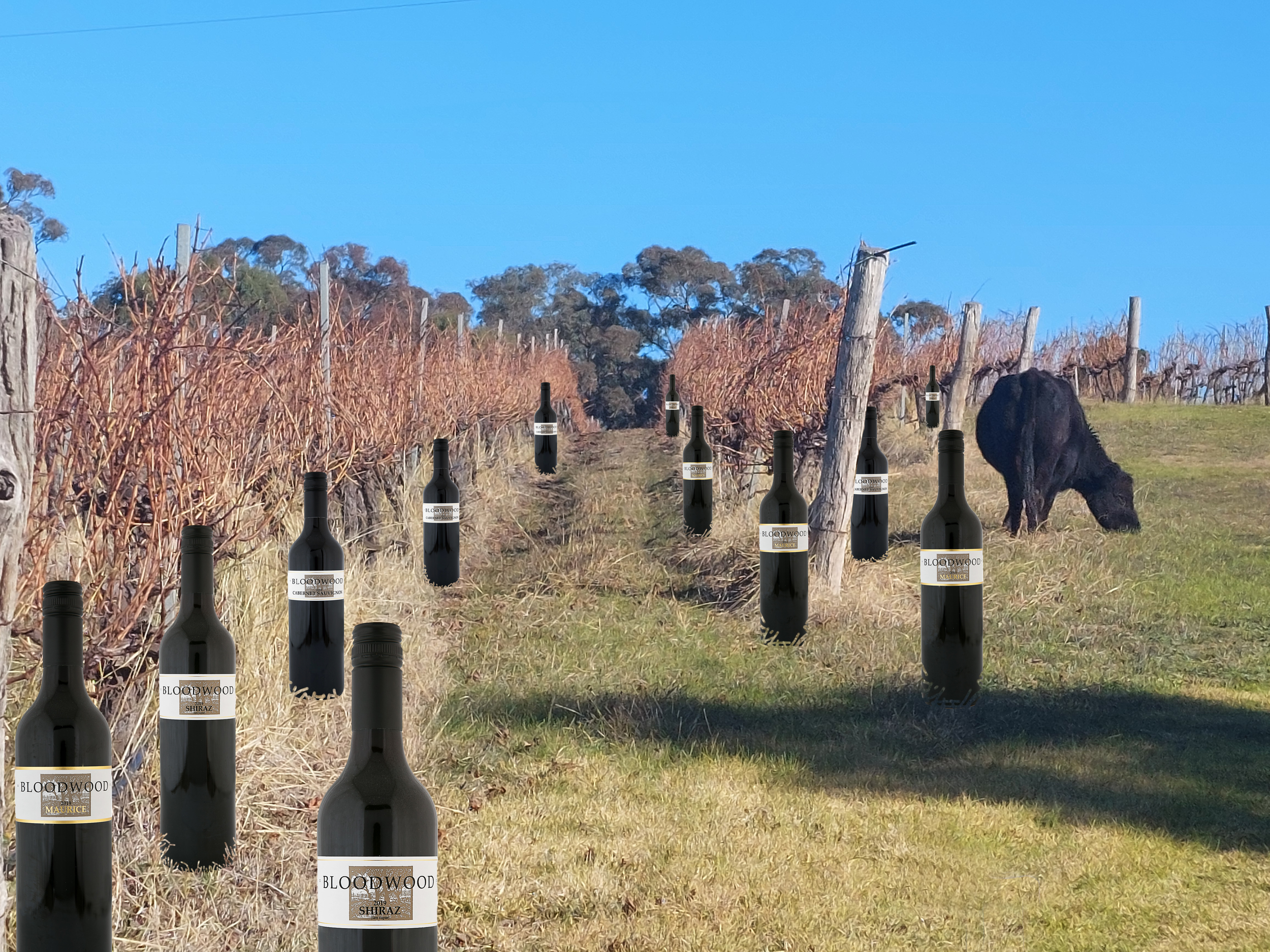 Bloodwood Big Beautiful Bovine Offer