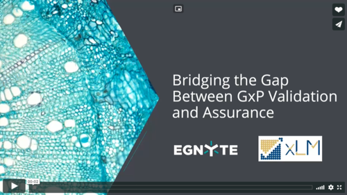 Bridging The Gap Between Gxp Validation And Assurance Valimation